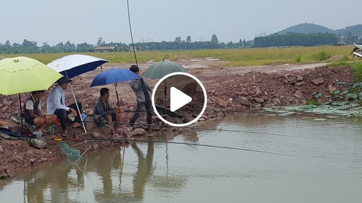 Khám phá điểm câu cá đồng tuyệt đẹp | Câu cá dã ngoại – Tập 1