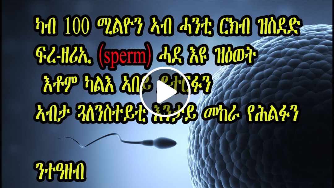 #Sperm Journey #Fertilization to Birth Animation HD Fertilization Of Egg and Sperm In Human Animated