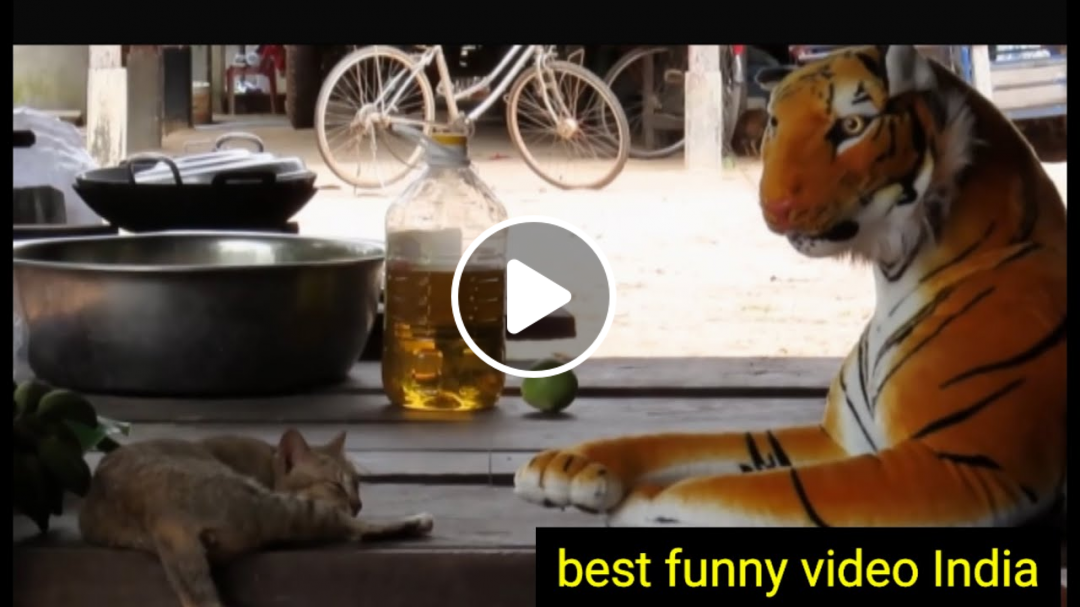 fake tiger prank | new tiger VS dog ! try not laugh -funny video 2021