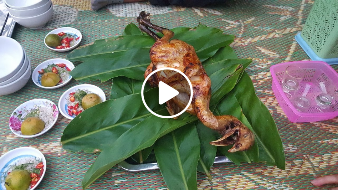 Gà nướng mật ong | Câu cá dã ngoại