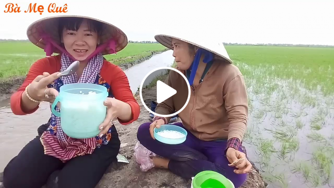 Đồng Tháp vào mùa cấy/miền tây quê tôi - Vlogs 10