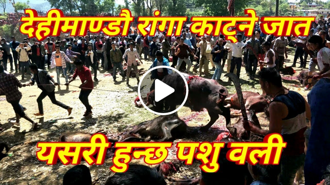 Dehimandu Temple Baitadi Animal Valley seens || by baitadi dhamaka 