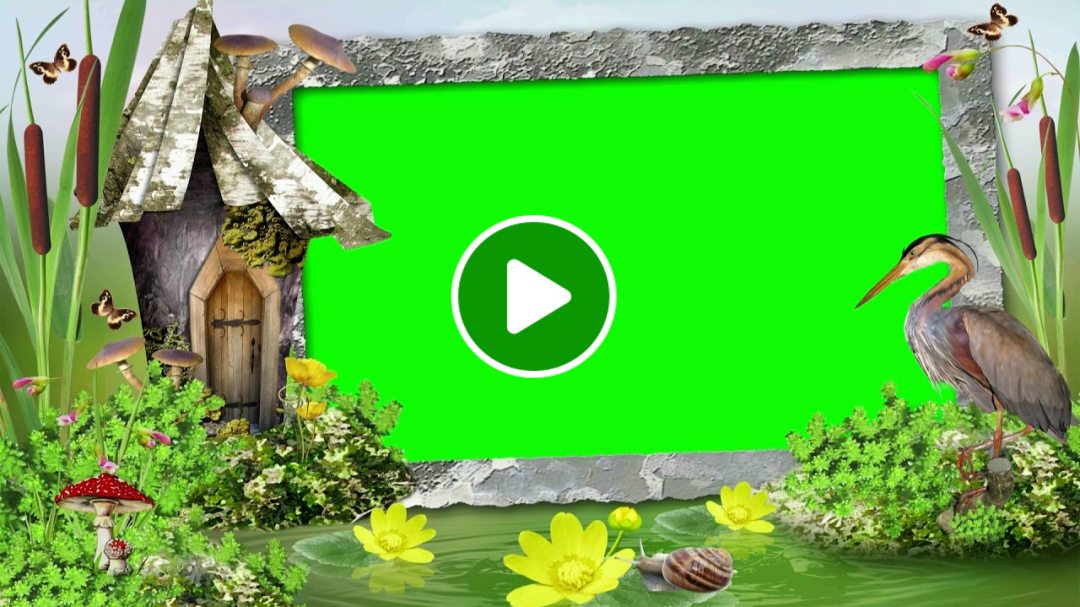 Wedding Video Background Green Screen Natural Frame, Chroma Key Video - 681